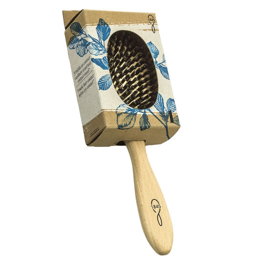 Brosse à cheveux en bois et poils de sanglier - Bioseptyl